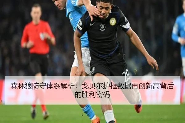 森林狼防守体系解析：戈贝尔护框数据再创新高背后的胜利密码