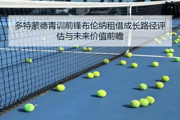多特蒙德青训前锋布伦纳租借成长路径评估与未来价值前瞻